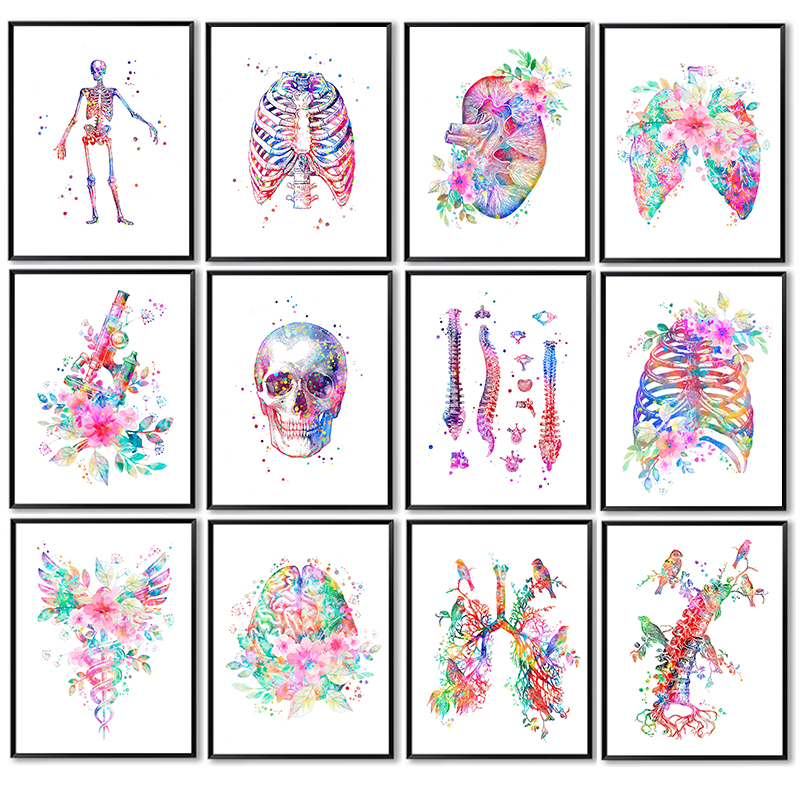 Medical Lab Posters - Анатомический медицинский постер без рамки: Цветочные